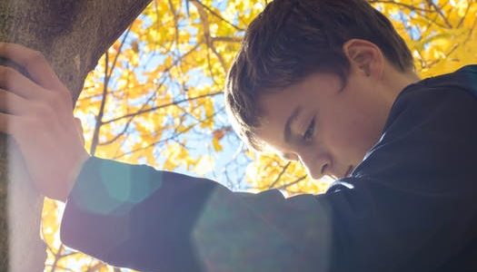 Discipline Basics (Limits, Consistency, Guidance)